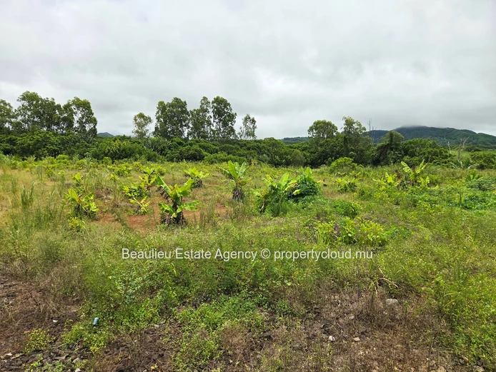 Terres agricoles à vendre – Plaine Magnien