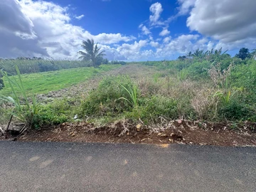 Residential Land