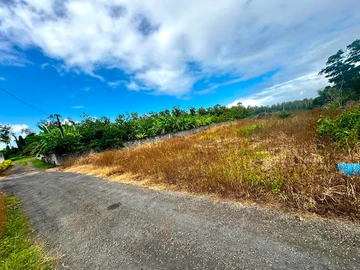 Residential Land