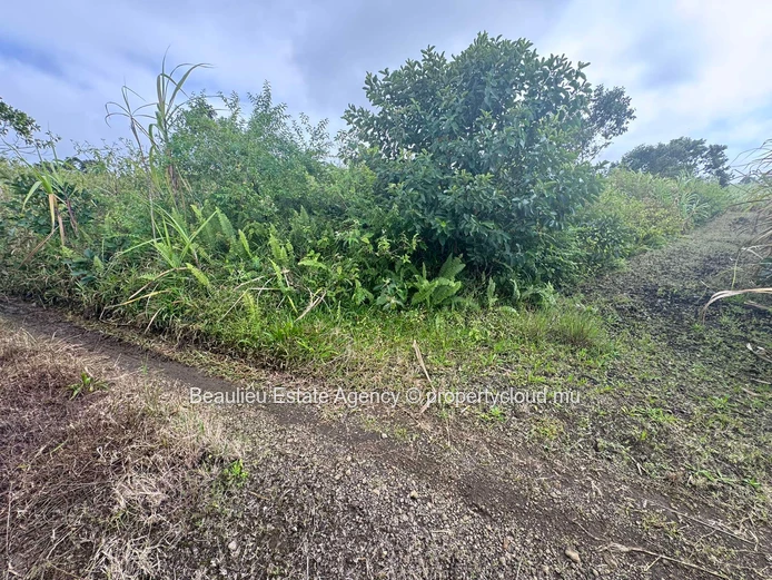 Agricultural Land of 49 Perches in Melrose