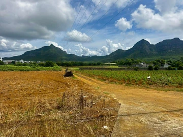 Agricultural Land
