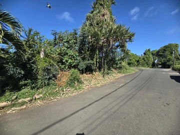 Residential Land