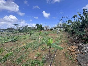 Residential Land