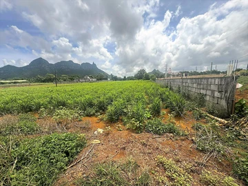 Agricultural Land