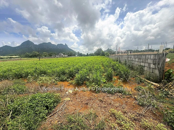 Terres agricoles à vendre – L’Avenir, St Pierre