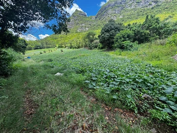 Residential Land