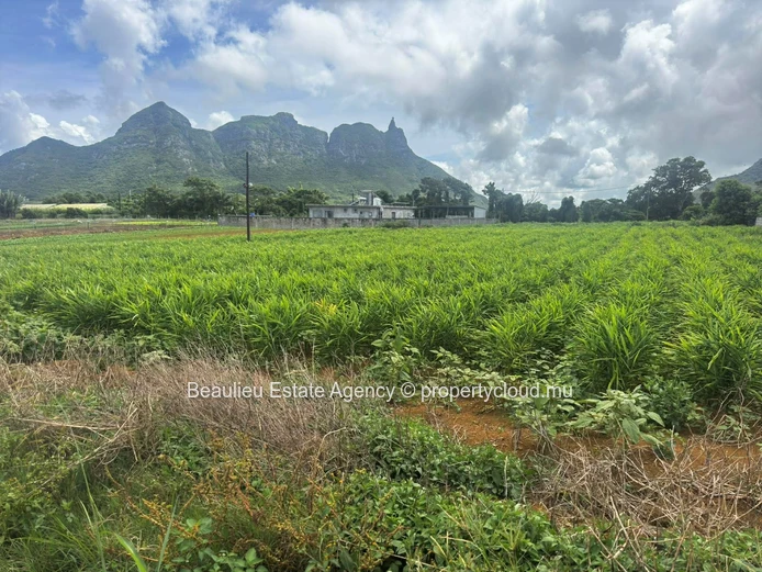 Terres agricoles à vendre – L’Avenir, St Pierre