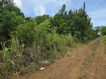 Residential Land