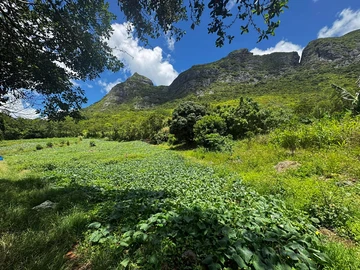 Residential Land