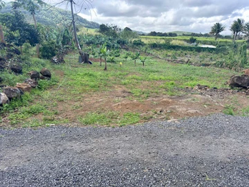 Residential Land