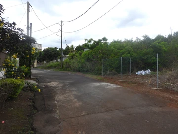 Land