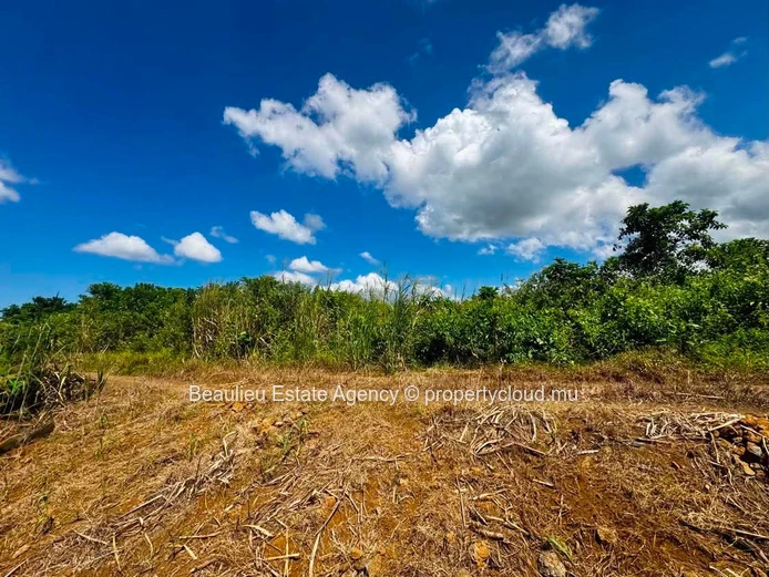 Parcelle agricole à vendre – Mont Fertile, Rose Belle