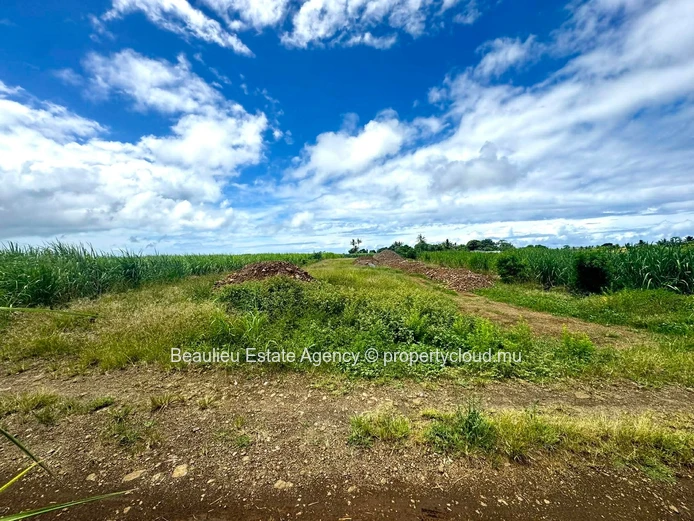 Terres agricoles de 88 perches à vendre à Plein Bois