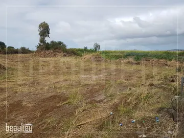 Residential Land