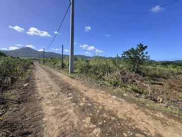 Agricultural Land