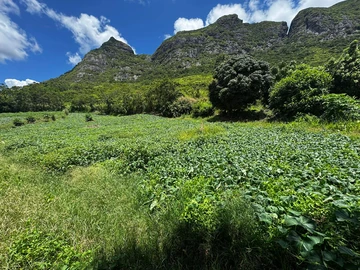 Residential Land