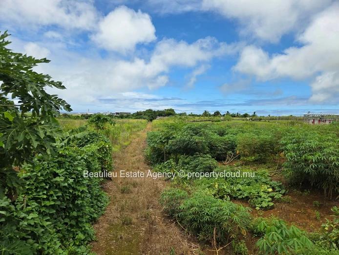 Terres agricoles à vendre – Plaine Magnien
