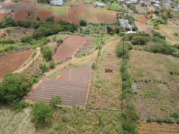 Agricultural Land