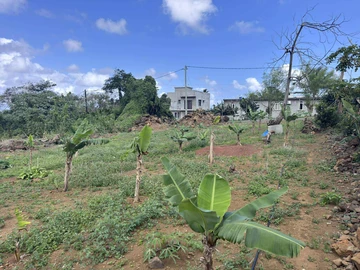 Residential Land