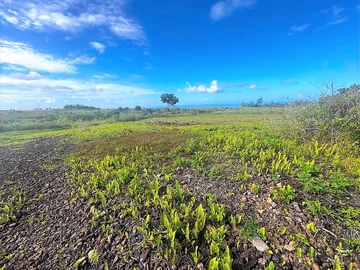 Agricultural Land