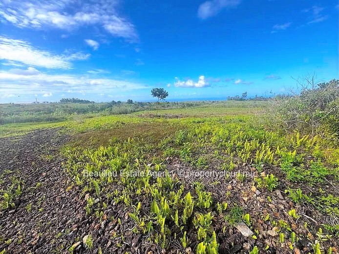 Terres agricoles à vendre – Morcellement Combo, Avalon