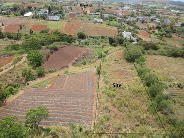 Agricultural Land
