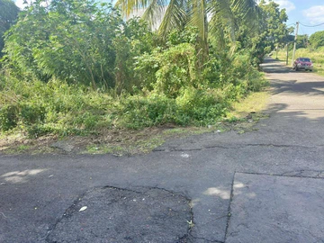 Residential Land