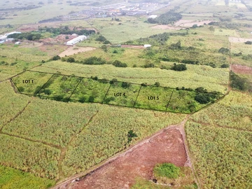 Agricultural Land